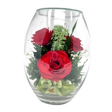 Fiora Flower  Long Lasting Real Roses in a Sealed Vase  Lasts up to 5 Red