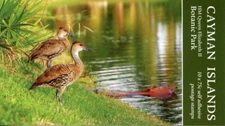 Cayman Isl Stamps 2020 MNH Queen Elizabeth II Botanic Park Ducks 10v S/A Booklet