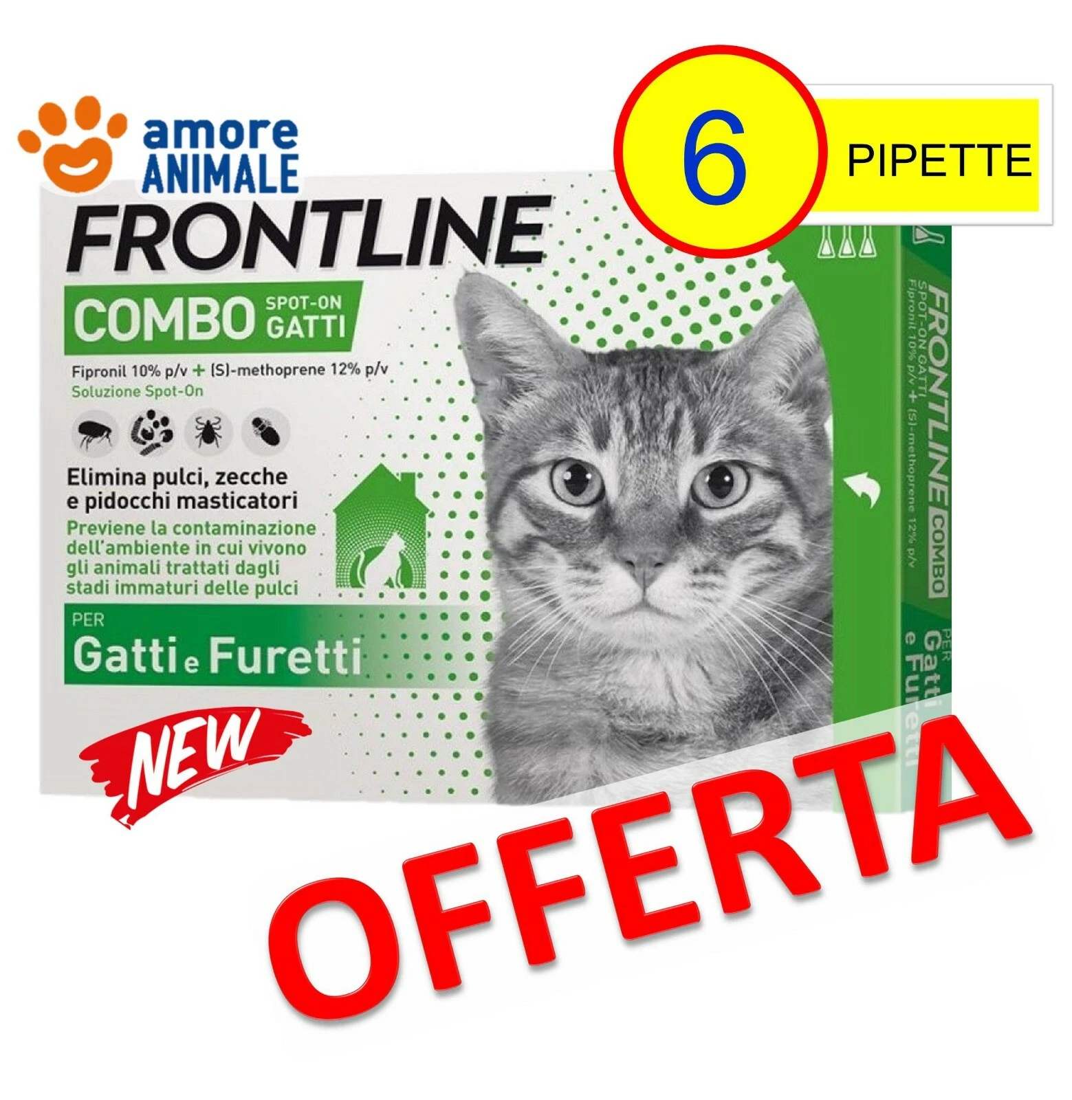 Foto 1 di 2
