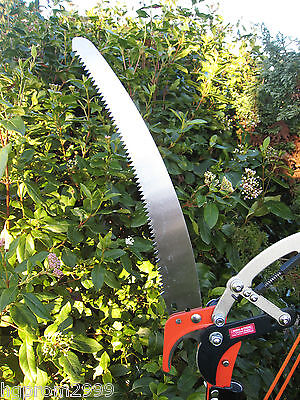 TELESCOPIC 2 PULLEY RATCHET ACTION POLE PRUNER WITH SAW eBay