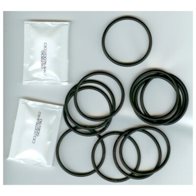 Hayward Ersatz O-Ringe Für Unterwasserleuchten – Groß & Klein, Für Modelle SP0500, SP0501, SP0502