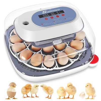 24 Eggs Incubator for Chicken Eggs with 4 Modes, 360° View Incubator with Aut...