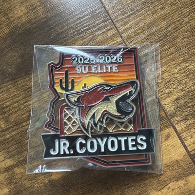2025-26 FARGO SQUIRT UNIQUE 2.5  Jr. Coyotes Glitter Spinner Head HOCKEY PIN