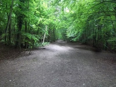 Photo A3 Once were rails Pilley/SO9519 This path down Leckhampton Hill  c2011