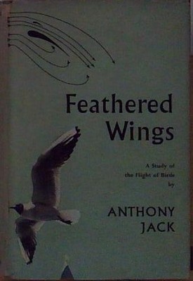 Jack FEATHERED WINGS