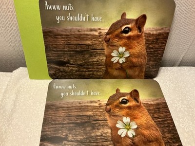 THANK YOU RSVP GREETING CARDS New w/Envelopes LOT 2 *AWWW NUTS, YOU SHOULDN'T''