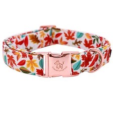 Fall Dog Collar Autumn Leaves Pet Collar Durable Dog Collars Male or Female H...