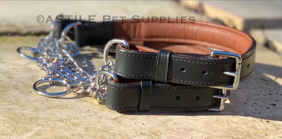 Half Check Choke Adjustable Leather Dog Collar With Chain 1 inch