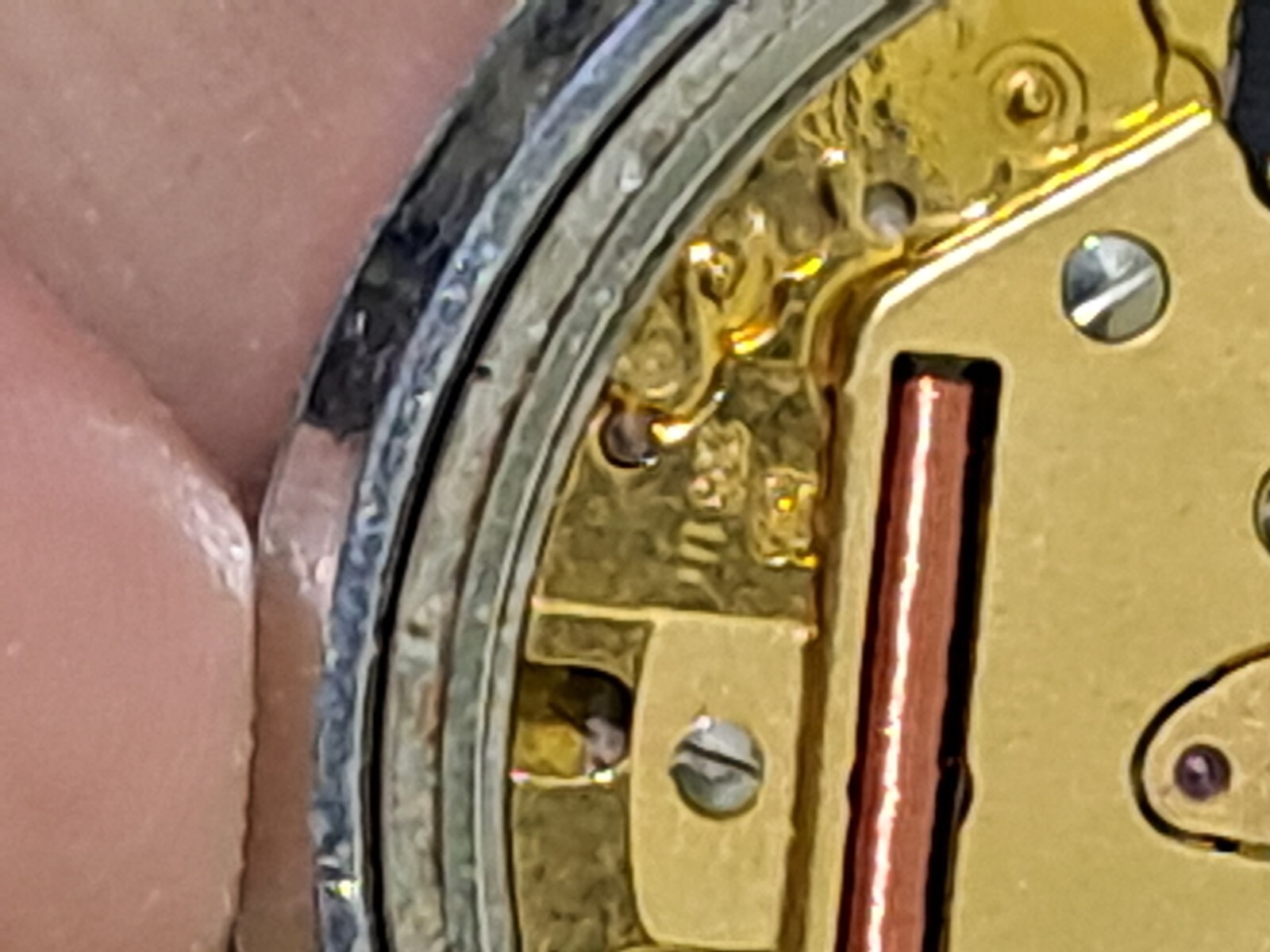 Picture 5 of 14