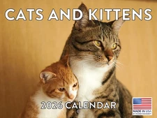 Cats And Kittens Calendar 2026 Monthly Wall Calender 12 Month