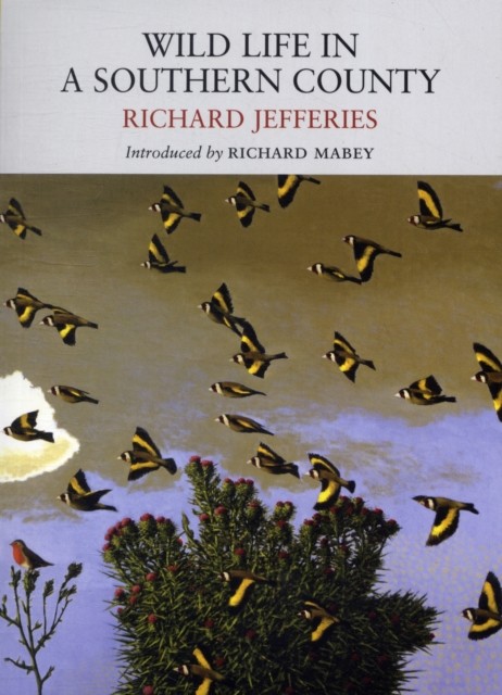 Wild Life in a Southern County by Richard Jefferies (Paperback Book)