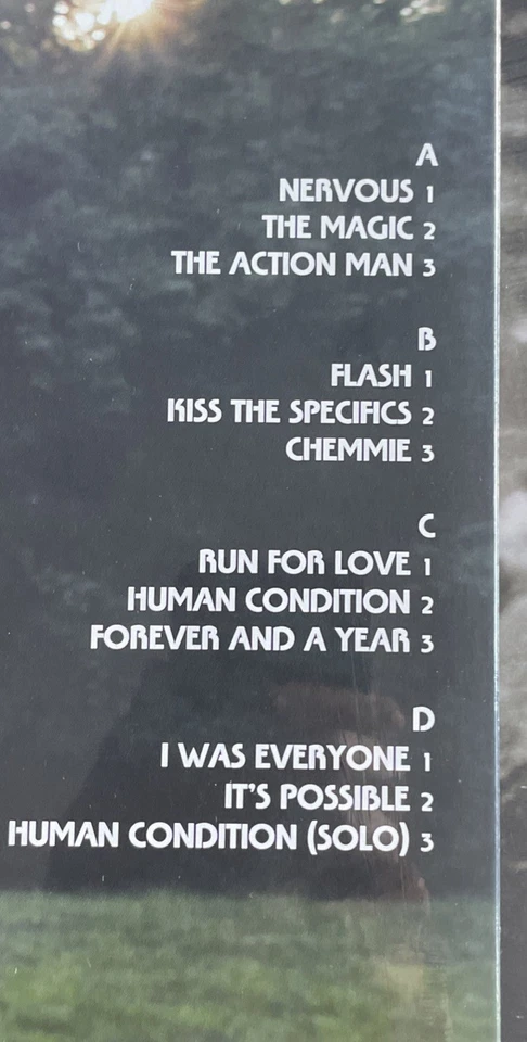 JOAN AS A POLICE WOMAN: Deep Field ORANGE 2LP *NEW/SEALED* — 第 3/4 张图片