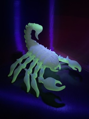 3D Printed Glow In The Dark Flexi Scorpion