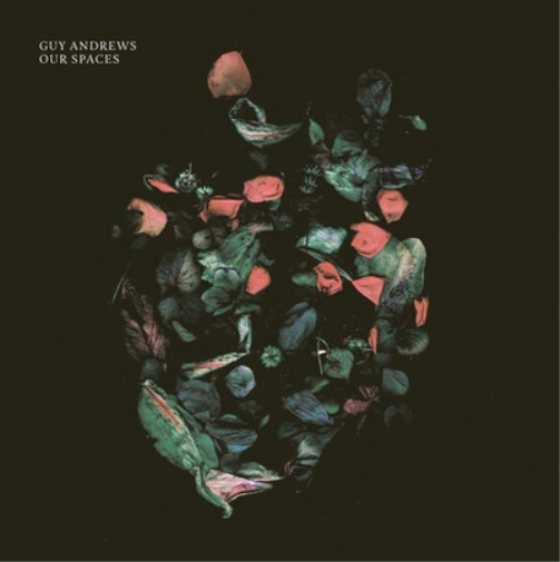 Альбом Guy Andrews Our Spaces (CD) (ИМПОРТИРОВАН из Великобритании)