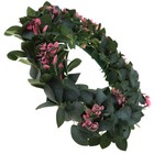 Bild 9 von 12