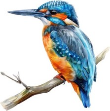 Listing image for Blue Kingfisher Bird Colour Wall Art Bedroom Nursery Decor Vinyl Sticker Decal