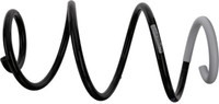 Sachs 993 919 Schraubenfeder FüR Renault