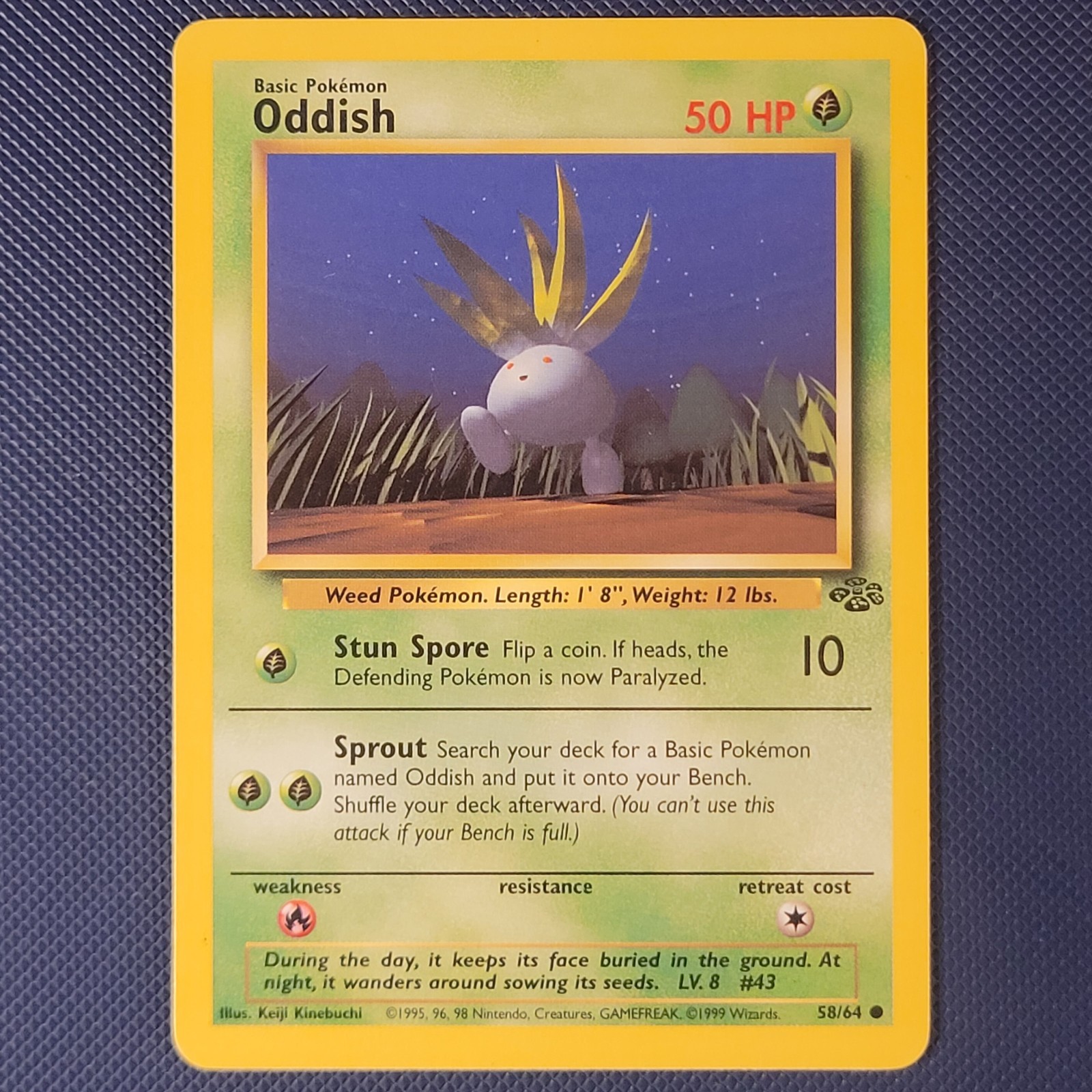 Oddish 58/64 - Jungle - Common Vintage WOTC Pokemon Card - NM