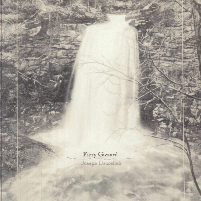 DECOSIMO, Joseph - Fiery Gizzard - Vinyl (LP + insert + MP3 download code)