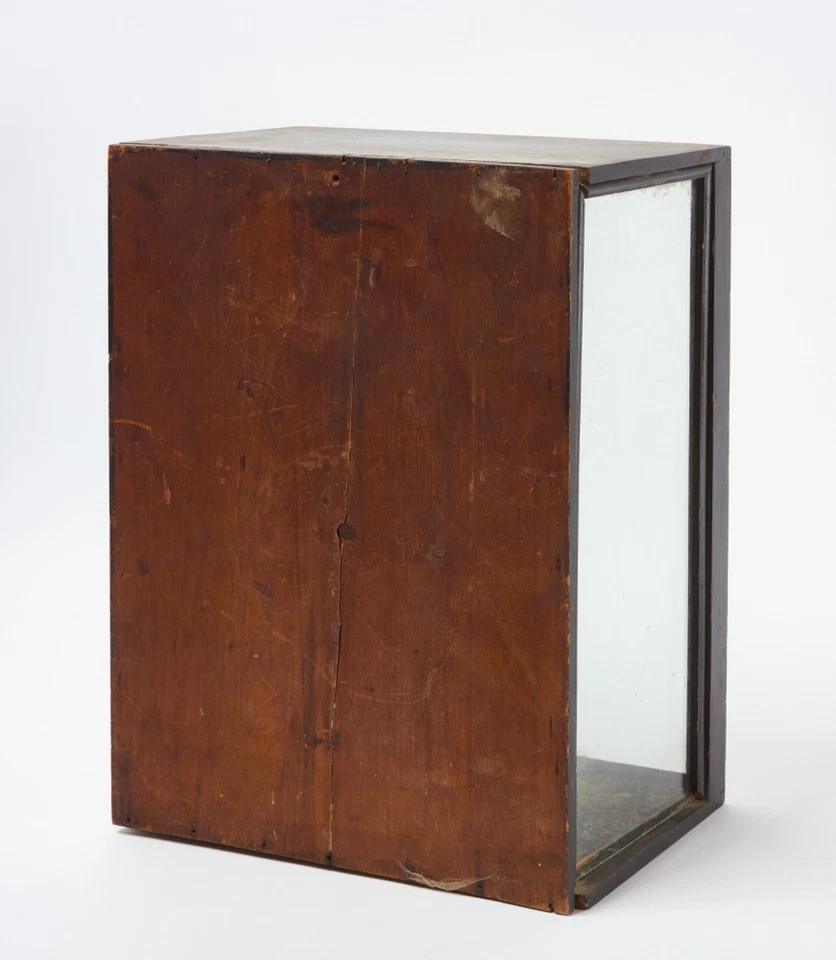 Surtidos de siete dioramas victorianos de aves del siglo XIX Foto 3 de 4