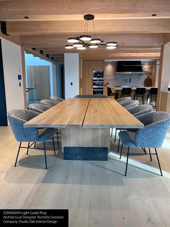 Sonneman 2656 Anillo Guía Luz Negro/Blanco 9 Luces 48-1/4"W Colgante Tamaño Completo Foto 4 de 4