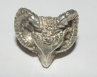Beautiful Artisan Sterling Silver MOUNTAIN GOAT RAM BIGHORN Size 6 1/4 — photo 2