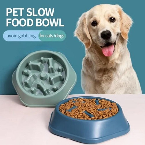 Dog Bowl Slow Feeder Pet Bowl Anti Bloating Anti Slip Feet Interactive Feed Dish