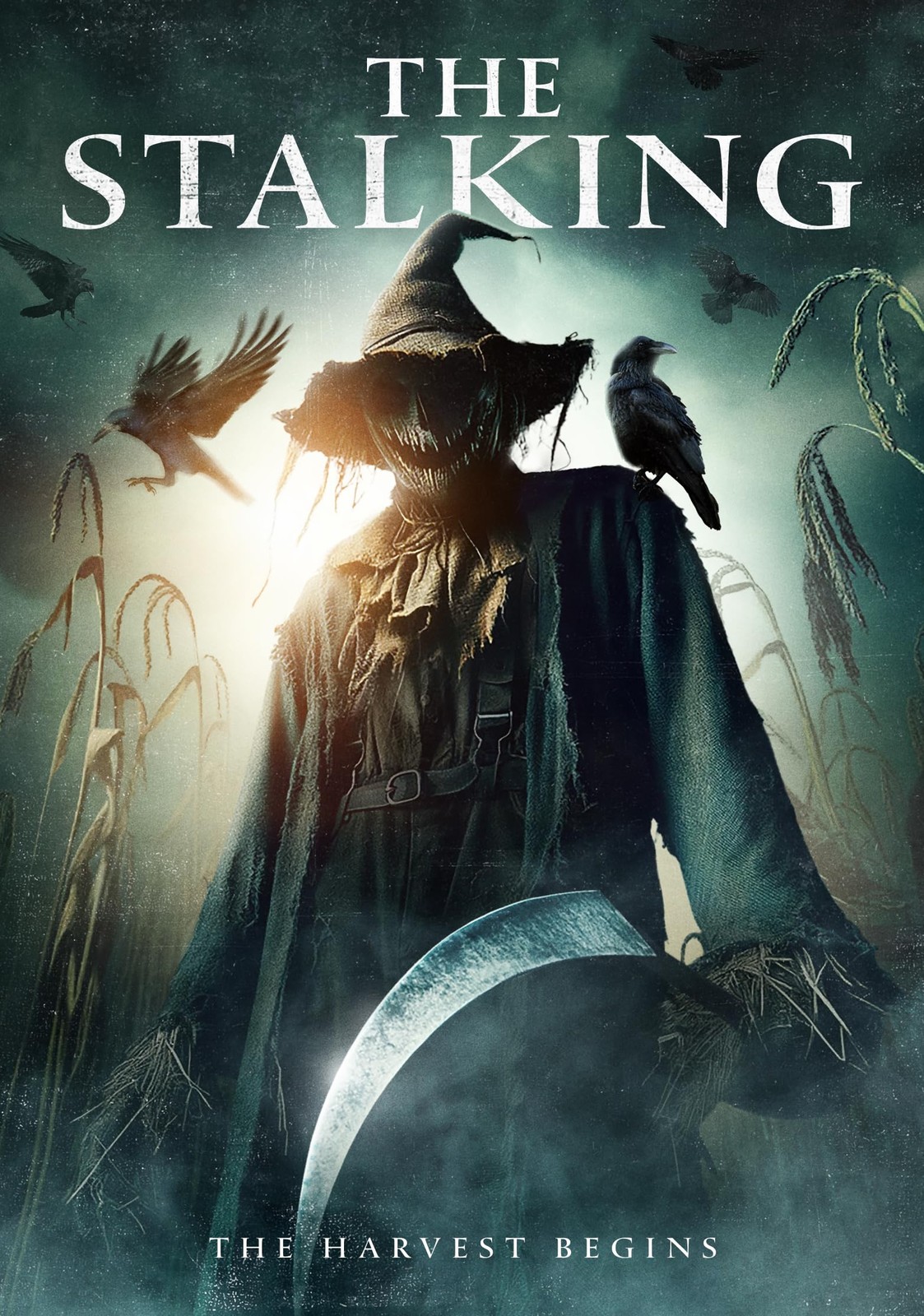 The Stalking (DVD) Anna Dainton Cody Losinger Jada Sanchez Justin Gordon