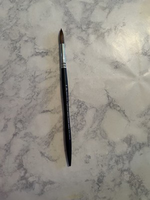 Winsor & Newton Professional Watercolor Sable Brush Size 10 Round