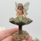 Picture 6 of 17