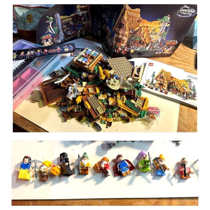 LEGO Disney 43242 Snow White Seven Dwarfs Cottage Minifigs Manual