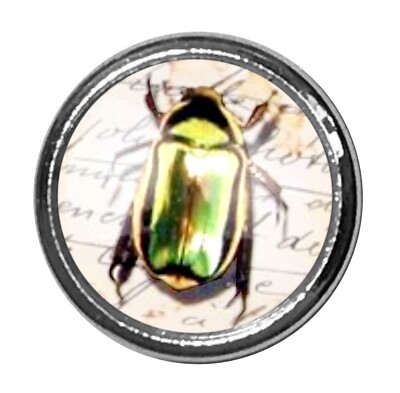 Chartreuse Beetle 3D Jewelpop for Kameleon Rings and Jewelry