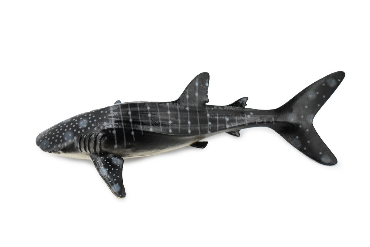 【新品未使用】Darmoshark M9 WHALE SHARK ブラック darmoshark M9 whale shark 黒殆ど新品 - メルカリ