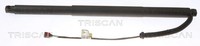 HeckklappendäMpfer, KofferraumdäMpfer Triscan 8710 29304 VW 5NA 827 851 A