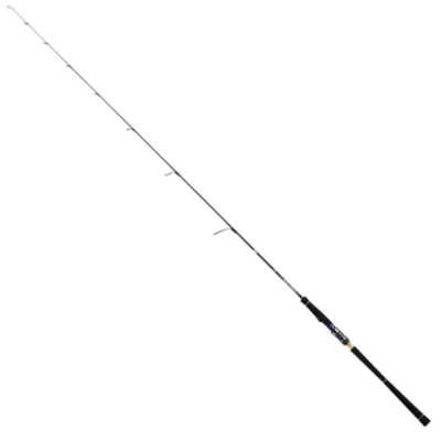 ソルティガLJ61H/XHS-S スピニング Daiwa SALTIGA LJ 61H/XHS-S Spinning Rod Shipping From JAPAN | eBay
