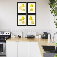 Lemon Fruit Botanical Prints Wall Decor Set of 4 Beautiful Antique Unframed