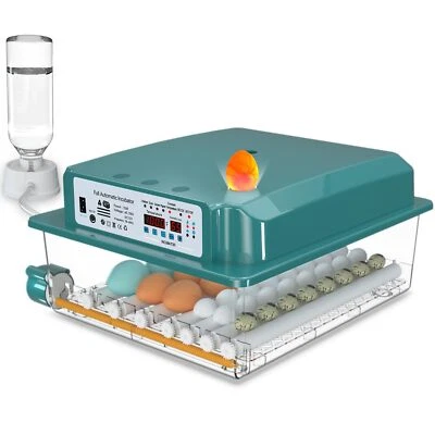 COINCEPTUS Incubadora De Huevos Automatica Para Huevos De Pato Gallina Codorniz 36 Huevos