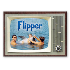 FLIPPER TV Show Retro TV 3,5 pollici x 2,5 pollici MAGNETE FRIGO