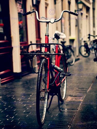 HOLLAND BICYCLES BIKE RED PHOTO ART PRINT POSTER PICTURE BMP1601A - Afbeelding 1 van 1