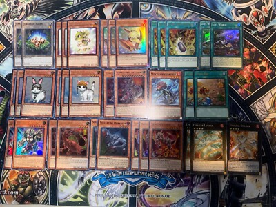 Yugioh Dinosaur Dino Deck Core | eBay