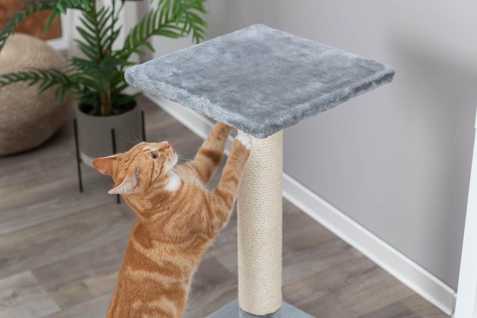 Arbre à chat Baena petit format pour chat d'appartement