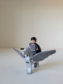 LEGO Harry Potter: Sirius Black's Escape (4753) 