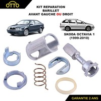 Reparatursatz Stange Feder Ringe Zylinder TüR Vorne FüR Skoda Octavia 1