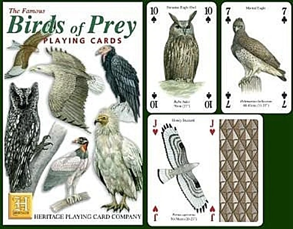 Birds of Prey set of 52 playing cards + jokers