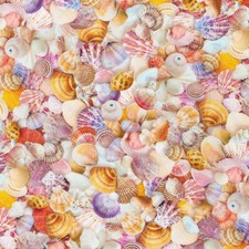 Fabric Shells Seashells Ocean Imaginings Cotton KAUFMAN 1/4 Yd SRKD-2091 8376