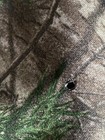 Bild 6 von 12