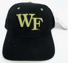 WAKE FOREST DEMON DEACONS VINTAGE FITTED SIZED ZEPHYR DHS CAP HAT NWT! DEADSTOCK