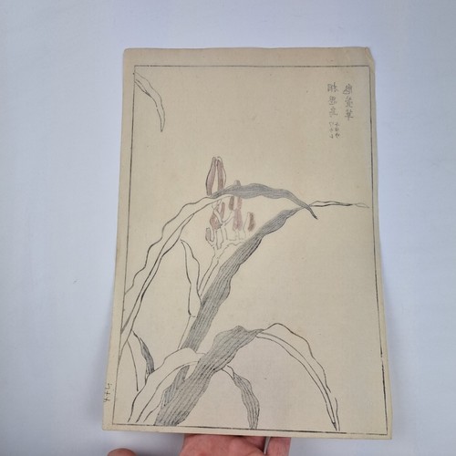 Bairei Kono Vintage Japanese Woodblock Print Bird On A Flowering Branch - Picture 12 of 19