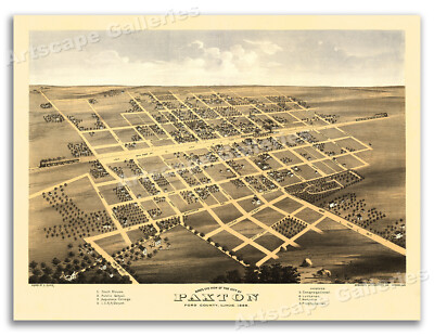 Paxton Illinois 1869 Historic Panoramic Town Map - 20x28
