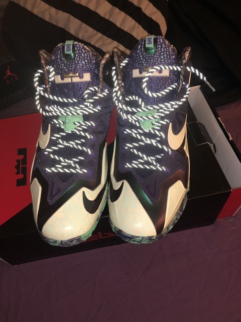 nike lebron gator king